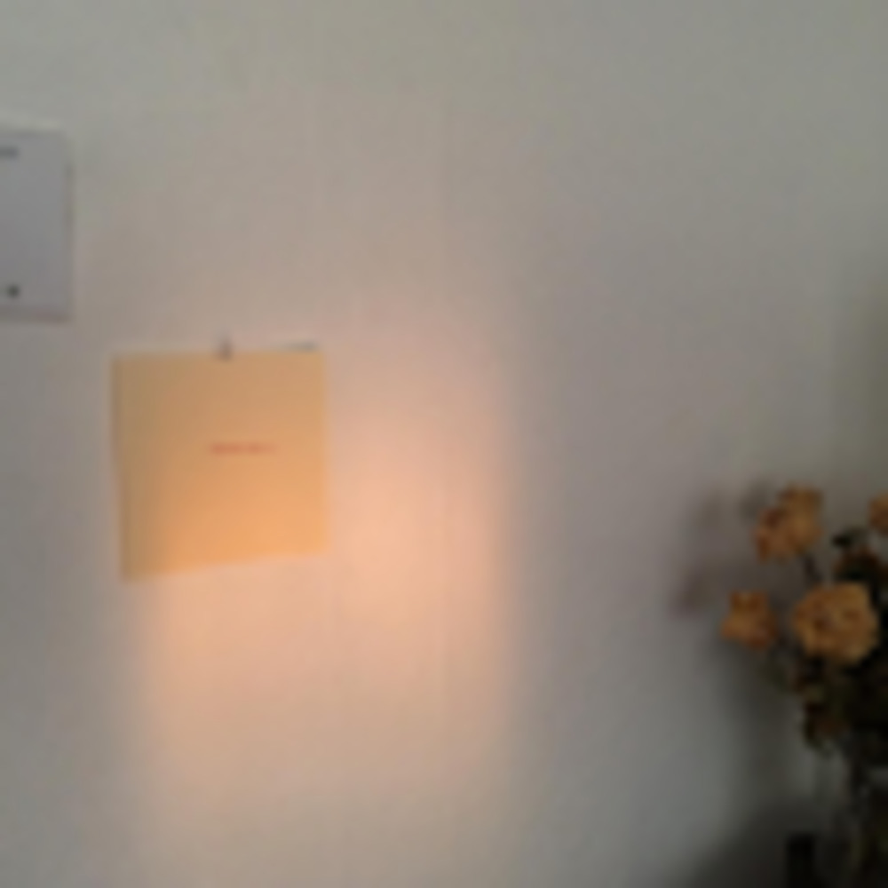 Meet your Posher, Zoe